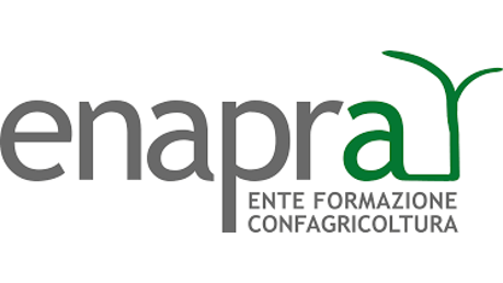 logo12