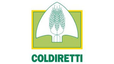 logo11